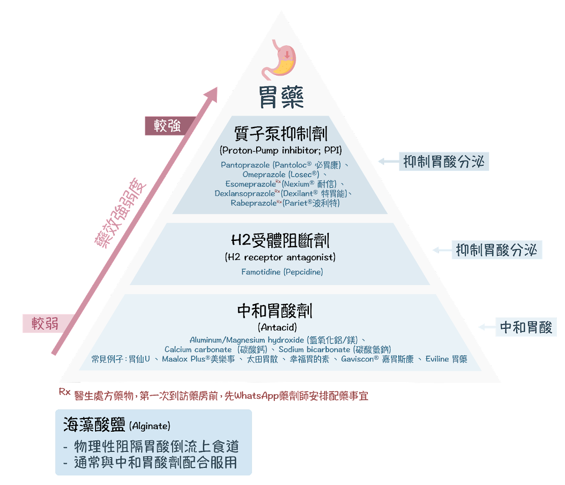本頁圖片/檔案 - GERD diagram